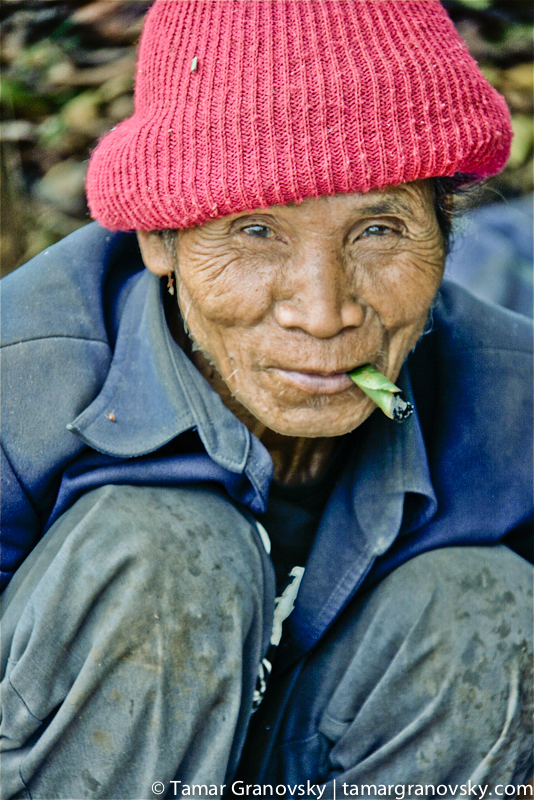 Tad Lo - man picking coffee beans 