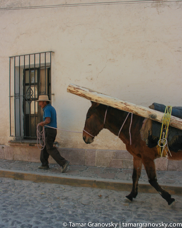Tepetlaoxtoc de Hidalgo