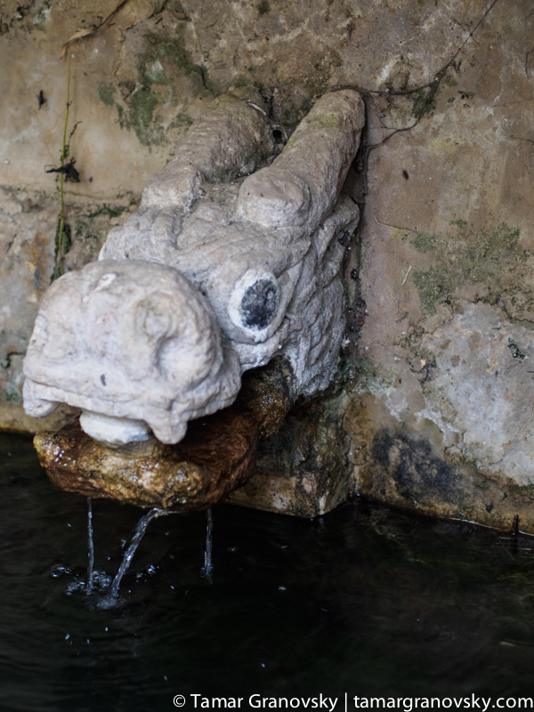 Tuan Jie Zhen - Le Ju Village (Fresh Spring Water)