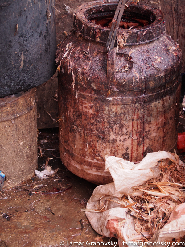 Tuan Jie Zhen - Chicken Processing Stall 