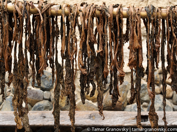 Fujian, Chuxi (drying mustard greens for pickling)