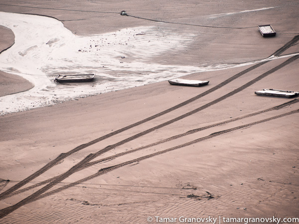 Muflats. Near Sanshazhen, Fujian