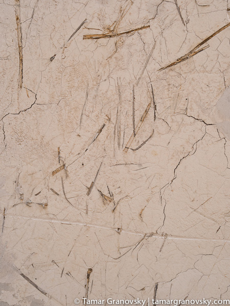 Saxi, Lime Wall with Horse Hairs and Straw