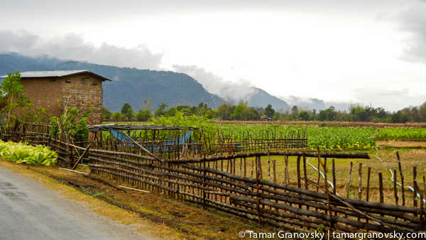 Toward Kong Lor Cave, Outside of Ban Nahin, Laos