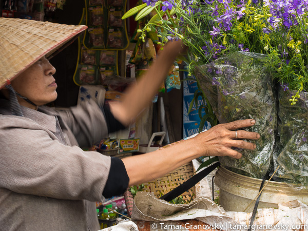 Hanoi (woman selling flowers)