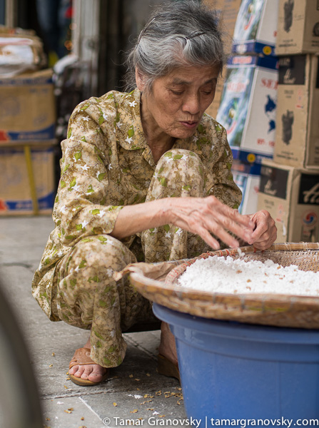 Hanoi (woman sorting through rice)