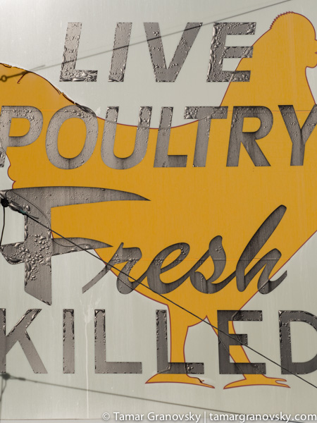 Live Poultry Fresh Killed, Cambridge, MA, U.S.