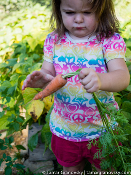 Shaking off the Soil