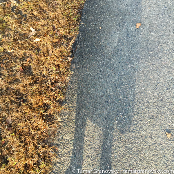 Along the Charles River