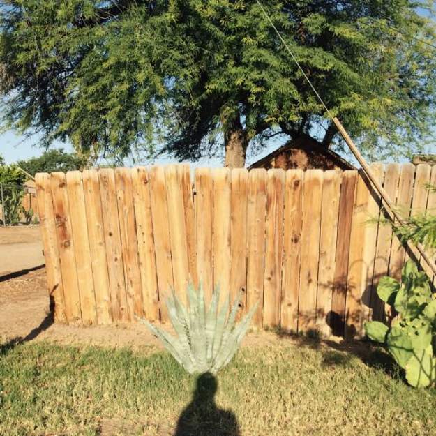 Calipatria, California