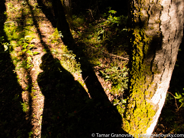 Prince Albert National Park, Saskatchewan, Canada