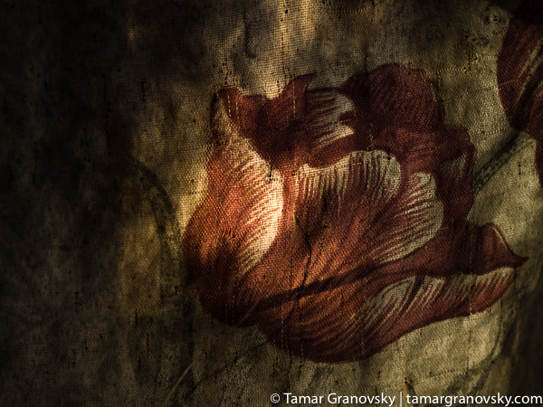 Quilombo near Cachoeira, Brasil