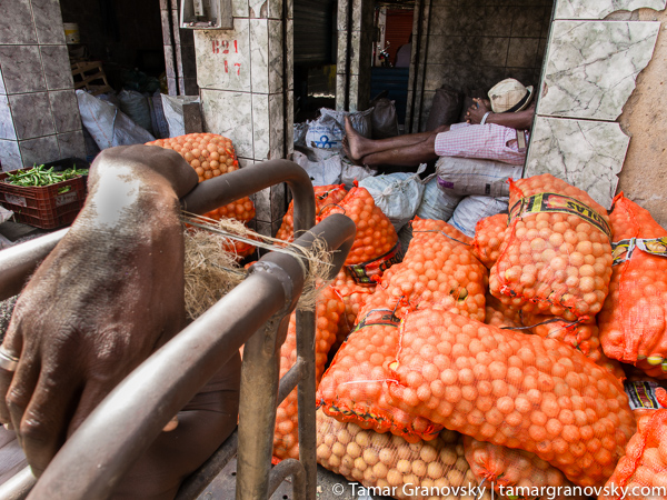 Feira de Sao Joachim, Salvador, Brasil