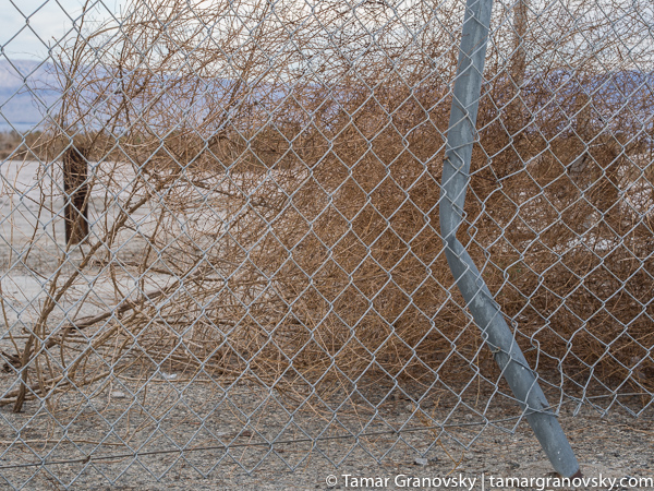 Desert Beach, Salton Sea, California