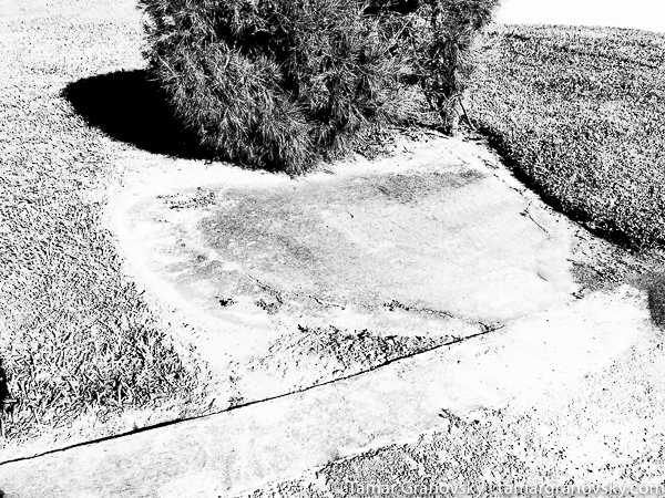 Century Village, Deerfield Beach, Florida, U.S.