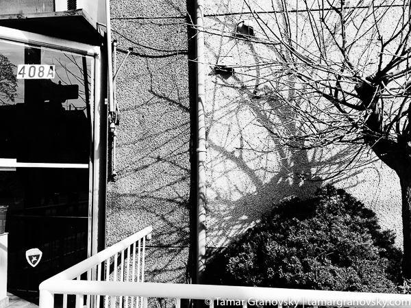 Hallam Street. Toronto.